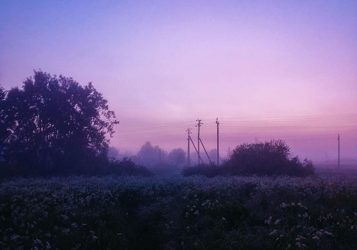 字母哥在世界杯中的赛后指控，开云官网和云开体育入口提供少人注意的关键内幕