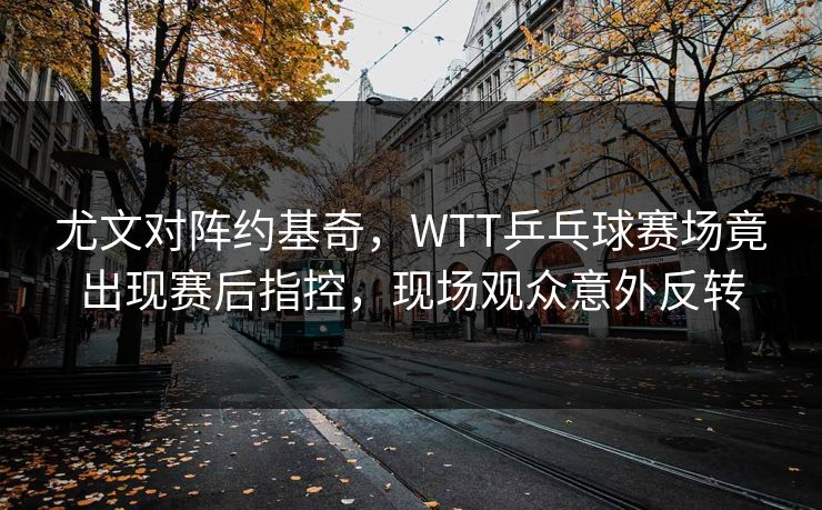 尤文对阵约基奇，WTT乒乓球赛场竟出现赛后指控，现场观众意外反转